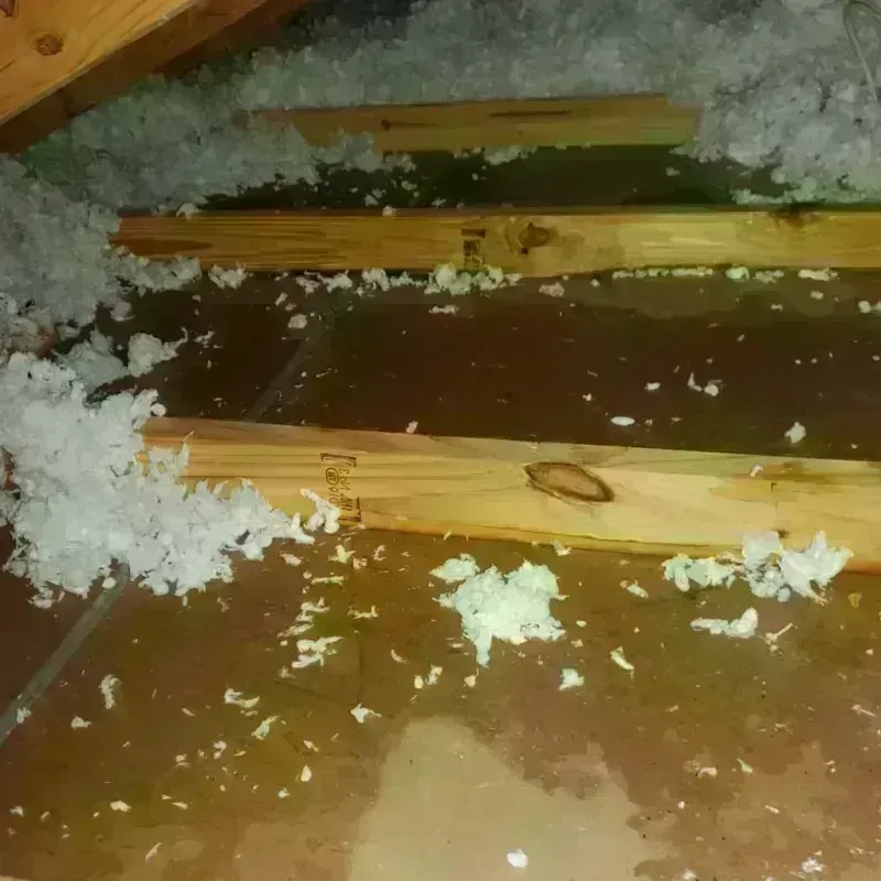 Attic Water Damage in Elkhorn, CA